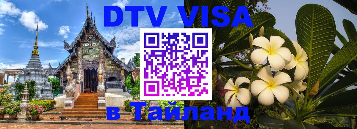 Оформление DTV визы под ключ: стоимость и тарифы, только загранпаспорт - 